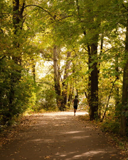 The Grand Rounds Trail