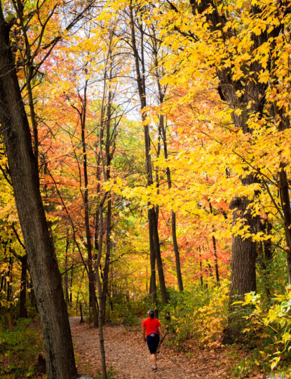 The Grand Rounds Trail